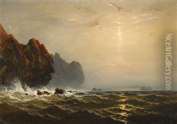 Steamer Off A Rocky Coast Oil Painting - James Hamilton