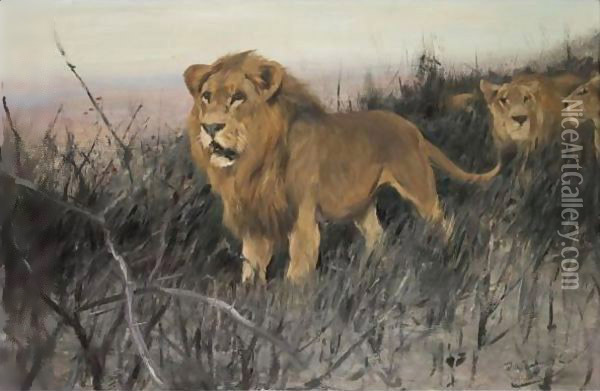 Lowen In Verbrannter Steppe (Lions In A Burnt Steppe) Oil Painting - Wilhelm Kuhnert