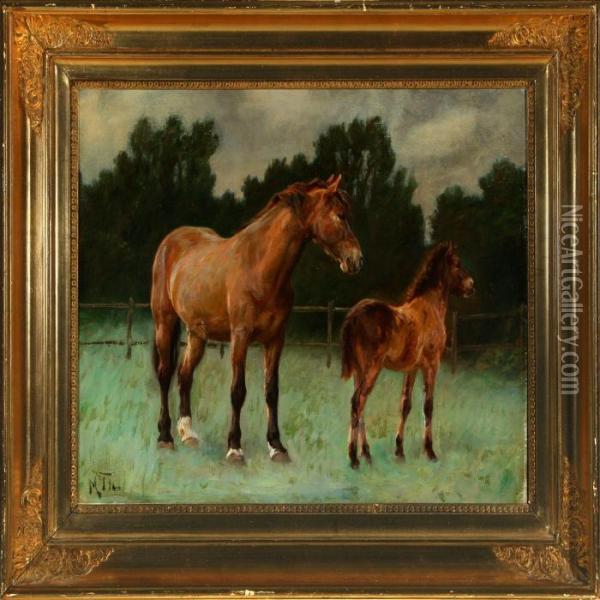 Landscape With A Horse And A Foal Oil Painting - Michael Therkildsen