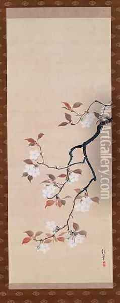 Hanging Scroll Depicting Cherry Blossoms Oil Painting - Sakai Hoitsu