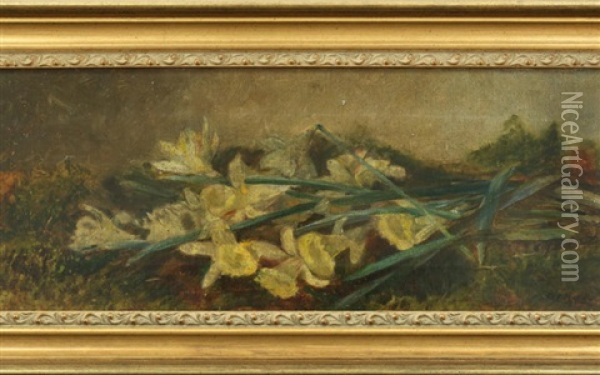 Daffodils Oil Painting - Anna Eliza Hardy