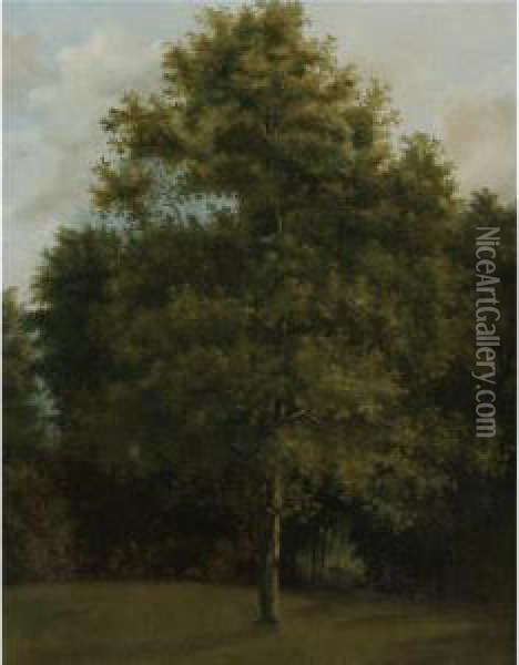 Study Of A Tree Oil Painting - Jules Louis Phillipe Coignet