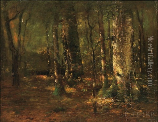 Woodland Landscape Oil Painting - Paul Cornoyer