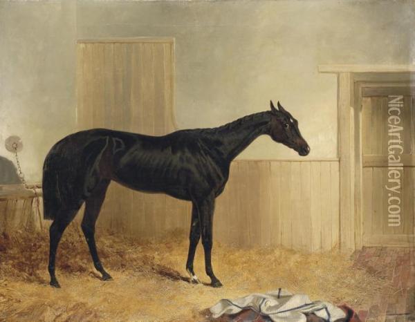 Mendicant, Winner Of The 1846 Oaks, In A Stable Oil Painting - John Frederick Herring Snr