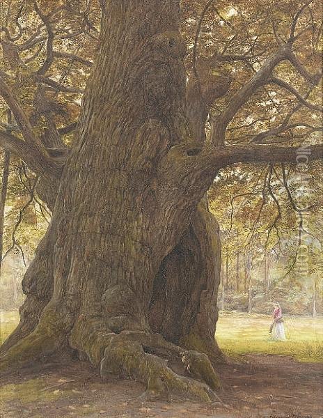 The Major Oak, Sherwood Forest Oil Painting - George Edward Crawhall