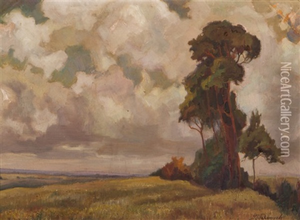 Grochodrzew Na Miedzy Oil Painting - Stanislaw Paciorek