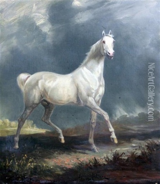 Study Of A White Horse In A Landscape Oil Painting - James Lynwood Palmer