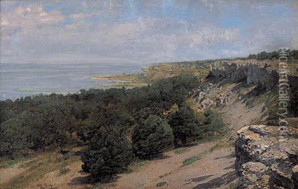 Pejzaz Nadmorski, 1892 R. Oil Painting - Otto Struttzel