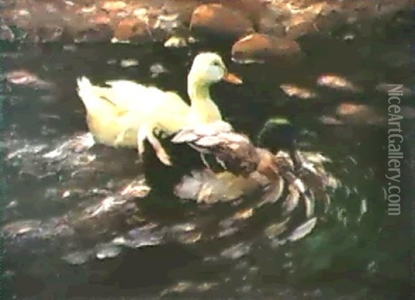Erpel Und Ente Auf Dem Wasser Oil Painting - Alexander Max Koester