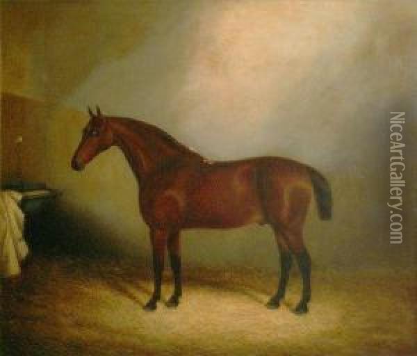 A Teathered Racehorse In A Stable Oil Painting - A. Clark