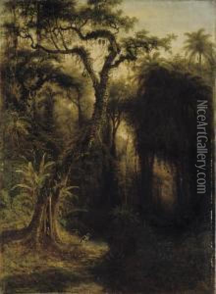 Rainforest Above Santiago De Cuba Oil Painting - Henry Cleenewerck