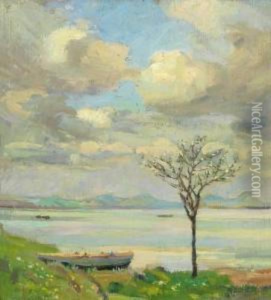 Fruhling Ambodensee Oil Painting - Peter Emil Recher