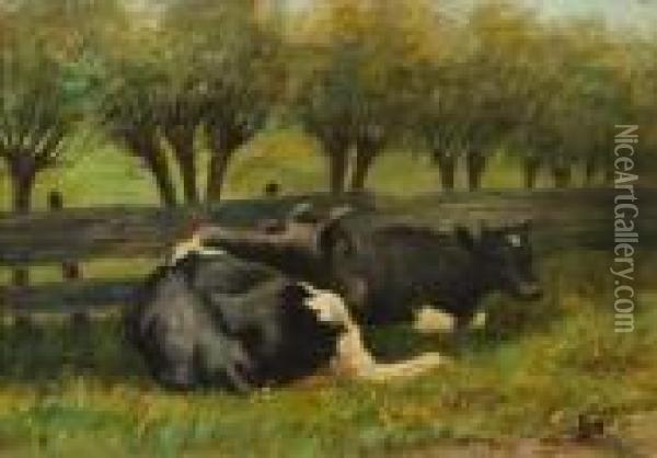 Cows Lying Down. Oil Painting - Vaclav Brozik