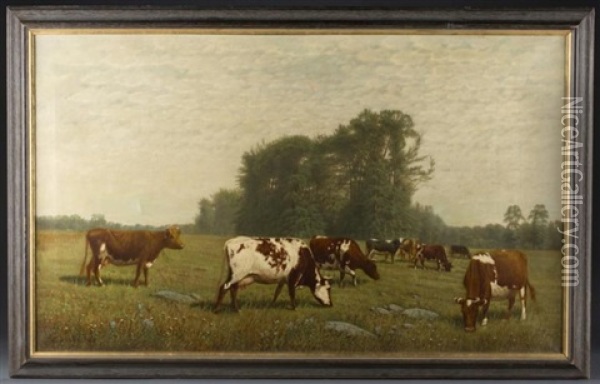 Cows Grazing In A Pasture Oil Painting - Clinton Loveridge