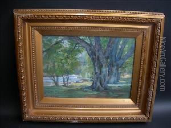 The Old Oaks Watercolour Signed To Lower Left 27cm X 38cm Oil Painting - James Mcculloch Robertson