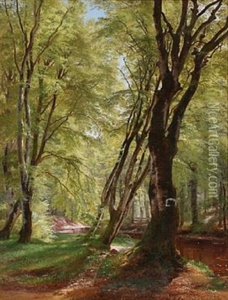 Spring Day In The Woods Oil Painting - Carl Frederik Peder Aagaard