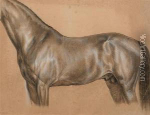 Study Of A Horse. Oil Painting - Ludwig Vogel