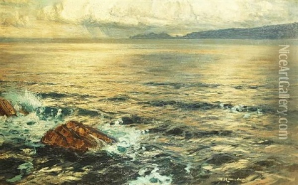 Weite Meereskuste Oil Painting - Willy Hamacher