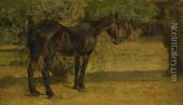 Cavallo Al Sole Oil Painting - Giovanni Fattori