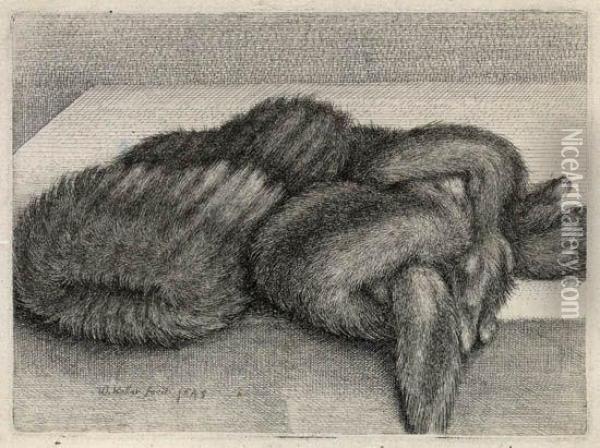 Muff And A Fur Stole On A Table Oil Painting - Wenceslaus Hollar