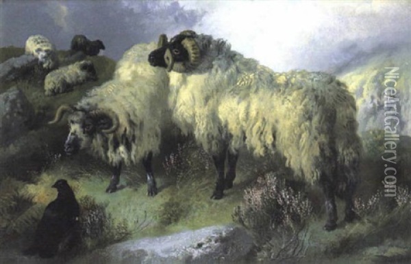Highland Scene With Sheep And A Blackcock Oil Painting - George William Horlor