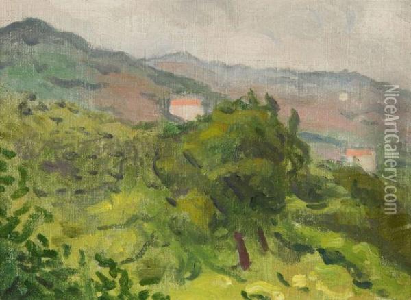 Paysage De Ceret Oil Painting - Albert Marquet