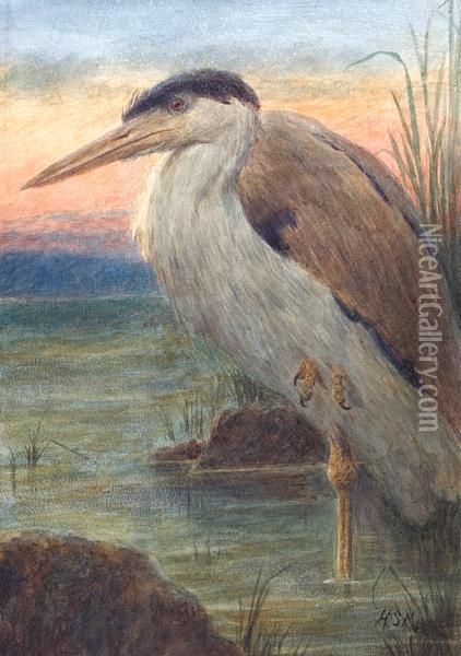 Study Of A Heron At Sunset Oil Painting - Henry Stacy Marks