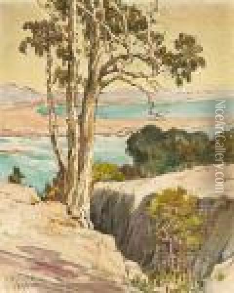 From Point Loma Oil Painting - Charles Arthur Fries