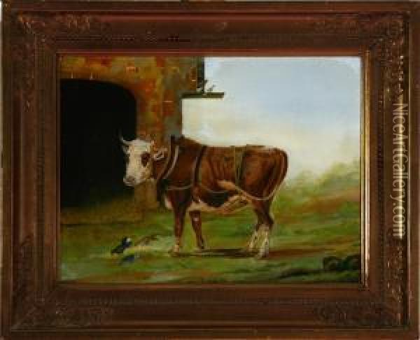 A Study Of A Bull Calf Oil Painting - Johan Thomas Lundbye