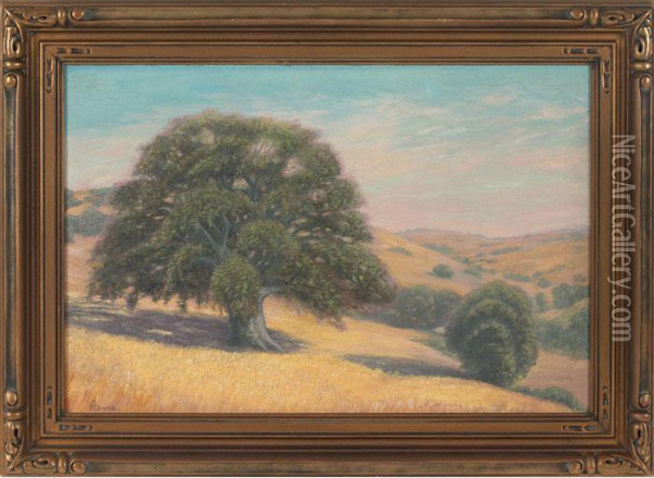 Foothills Of Mt. Diablo Oil Painting - Charles Francis Adams
