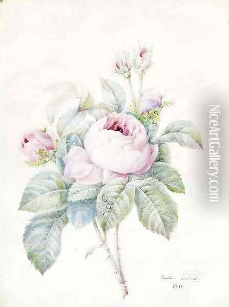 A Spray of pink Roses Oil Painting - Anne-Ernestine Panckoucke