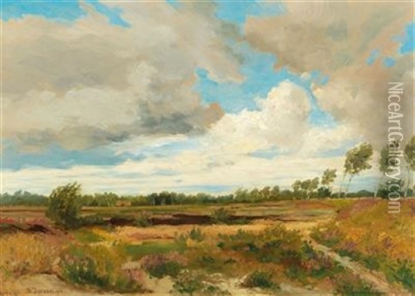 Moorland Oil Painting - Hugo Darnaut