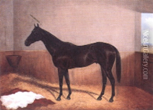 Thoroughbred In A Stable With View Through A Stable Door Oil Painting - Frederick Woodhouse Jr.