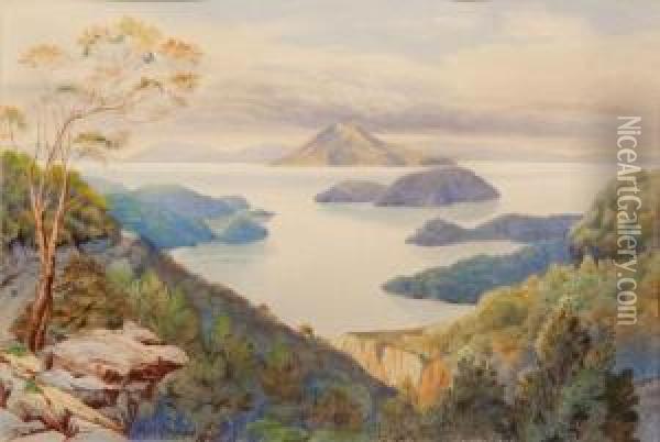 Pelorus Sounds Oil Painting - Alfred Sharpe