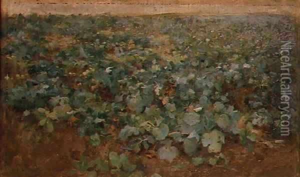 The Turnip Field Oil Painting - Edward Stott