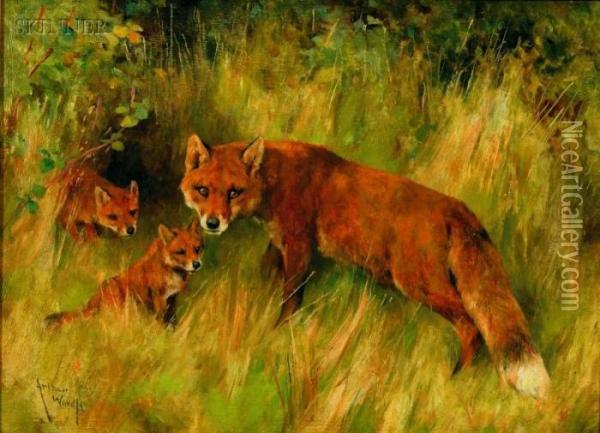 Fox And Kits Oil Painting - Arthur Wardle