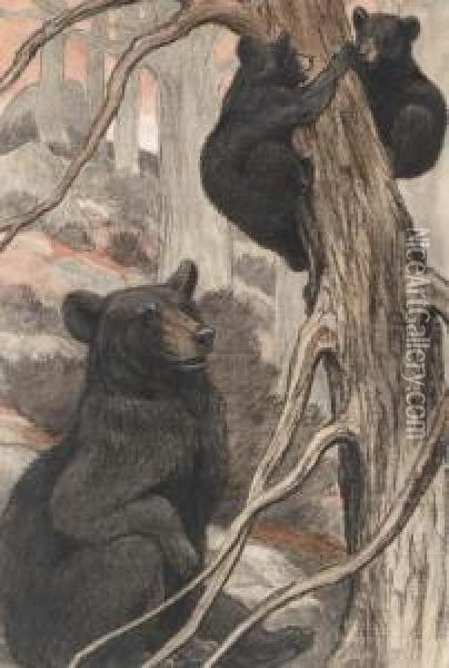 Black Bear And Cubs Climbing And Playing On A Tree Oil Painting - Charles Livingston Bull