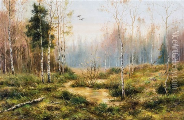 Early Morning - Landscape With Duckes Oil Painting - Vladimir Leodinovitch (Comte de) Muravioff