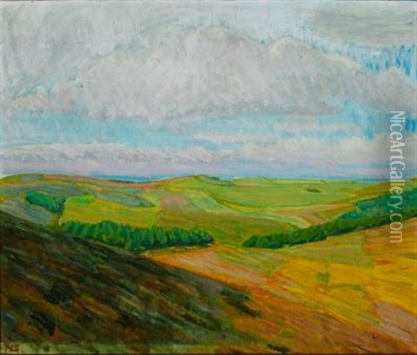 Sidelys Fra Siden Af Bavnehoj Oil Painting - Niels Larsen Stevns