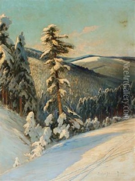 Mountainscape With Snow-covered Trees Oil Painting - Franz Schreyer