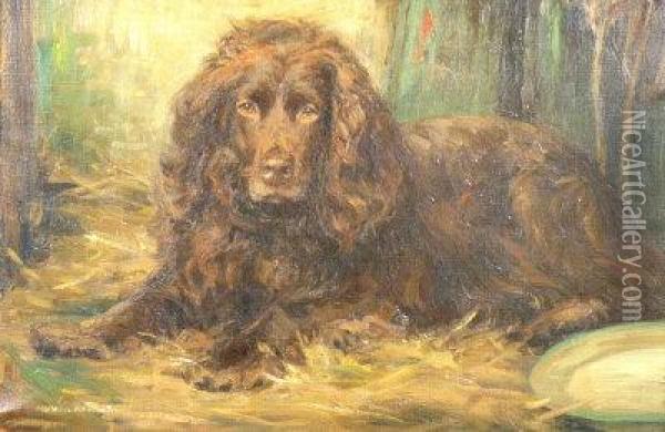 A Study Of A Spaniel Oil Painting - Arthur Wardle