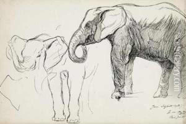 Etude D'elephant Oil Painting - Ewert Louis Van Muyden