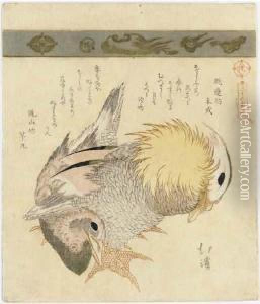 Pair Of Mandarin Ducks, From The
 Series Sanjurokkin Tsuzuki(collection Of Thirty-six Birds And Animals) Oil Painting - Toyota Hokkei