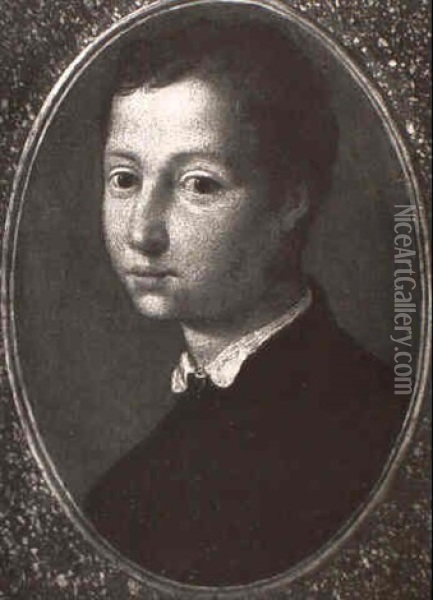Portrait Of The Young Ferdinand De Medici Oil Painting -  Bronzino