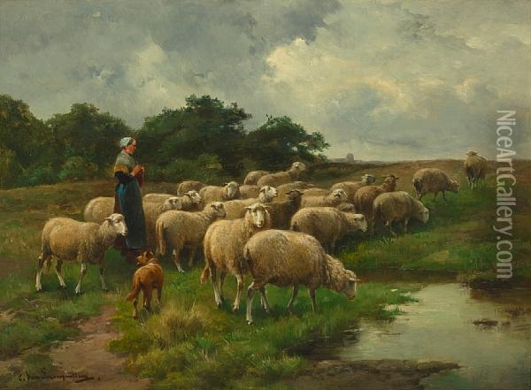Sheep At Pasture Oil Painting - Cornelis van Leemputten