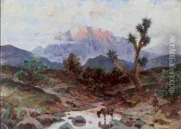 Mexikanische Landschaft Oil Painting - August Lohr