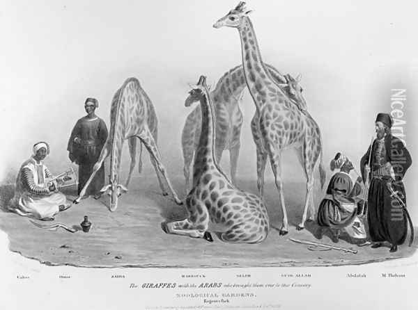 The Giraffes with the Arabs who brought them over to this country, Zoological Gardens, Regents Park, 1836 Oil Painting - George the Elder Scharf