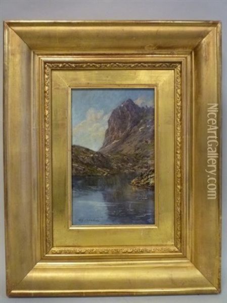 Le Pic De Perlat Et Le Lac Merlat, Massif De Belledonne Oil Painting - Charles Alexandre Bertier
