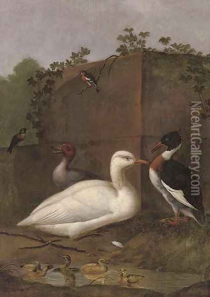 A duck Oil Painting - Aert Schouman