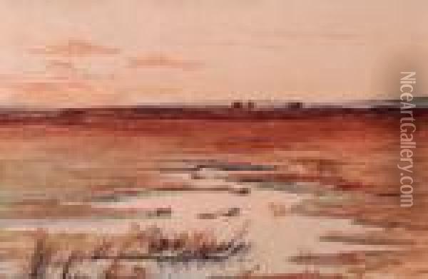 Wetland Oil Painting - Anton Waldhauser
